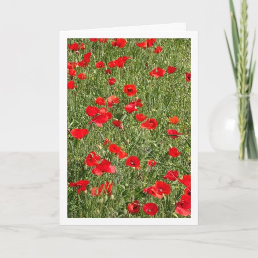 Papaver in veld Kaart (Voorkant)