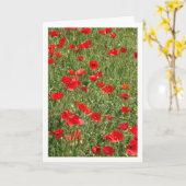 Papaver in veld Kaart (Gele Bloem)