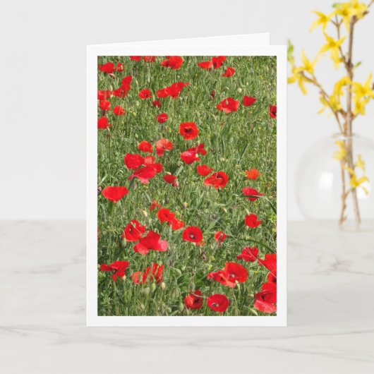 Papaver in veld Kaart (Gele Bloem)