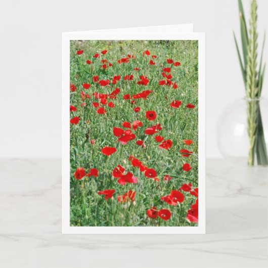 Papaver in veld Kaart (Voorkant)