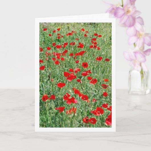 Papaver in veld Kaart (Orchidee)