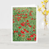 Papaver in veld Kaart (Gele Bloem)