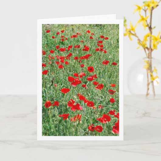 Papaver in veld Kaart (Gele Bloem)