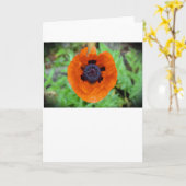 Papaver, kaart (Gele Bloem)