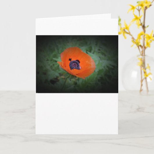 Papaver, kaart (Gele Bloem)