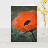 Papaver, kaart (Gele Bloem)
