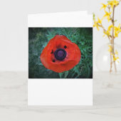 Papaver, kaart (Gele Bloem)