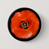 Papaver, knop ronde button 5,7 cm (Voorkant)