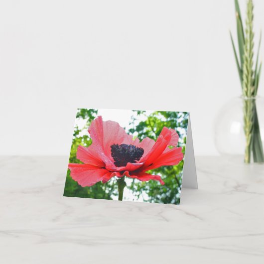 Papaver Lege Notecard Kaart (Voorkant)