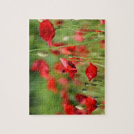 papaver legpuzzel (Verticaal)
