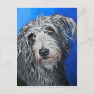 ' papaver' - Lurcher girl Briefkaart