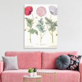 papaver multiplex albumoris rubicundis; canvas afdruk (Insitu (Woonkamer))