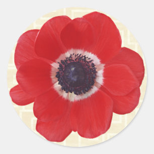 Papaver op Beige Ronde Sticker