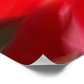 Papaver op vuur. poster (Hoek)