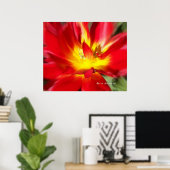 Papaver op vuur. poster (Thuiskantoor)