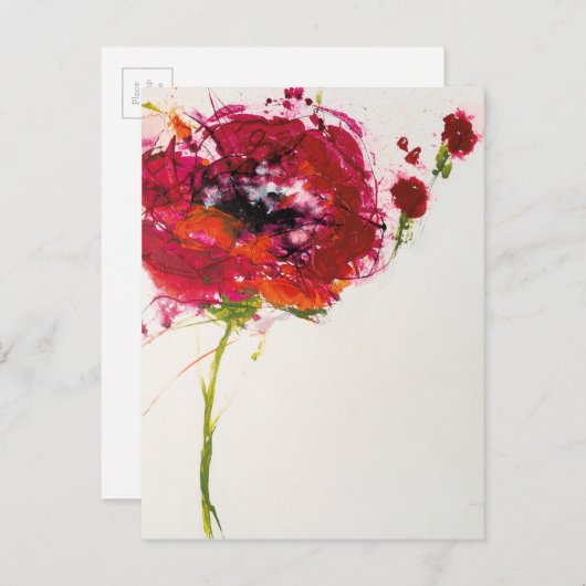 Papaver op wit briefkaart (Voorkant / Achterkant)