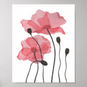 papaver poster (Voorkant)