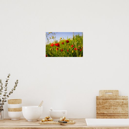 papaver poster (Keuken)