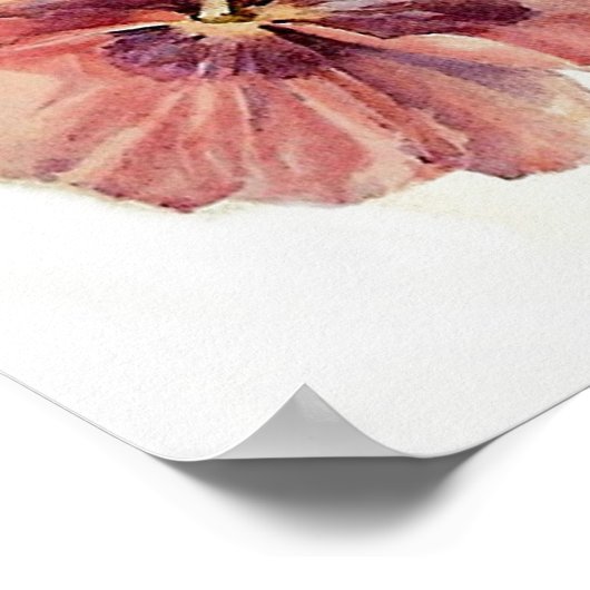  papaver poster (Hoek)