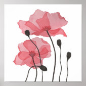 papaver poster (Voorkant)