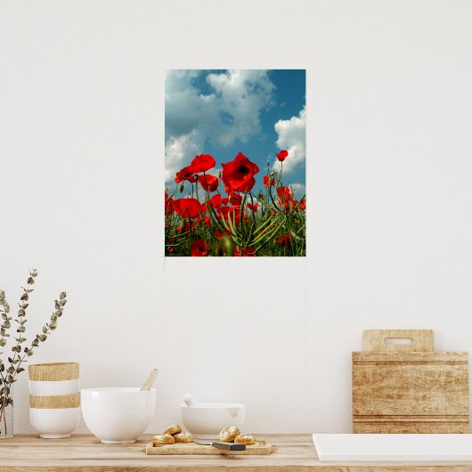 papaver poster (Keuken)