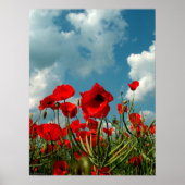 papaver poster (Voorkant)