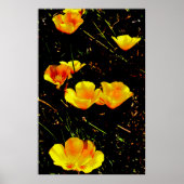 papaver poster (Voorkant)