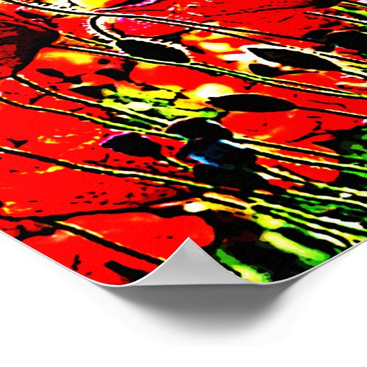 papaver poster (Hoek)