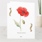 Papaver rhoeas  kaart (Achterkant)