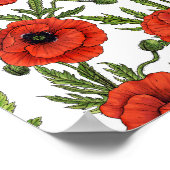 Papaver, rood en groen op wit poster (Hoek)