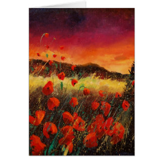 papaver ' s in zonsondergang 76