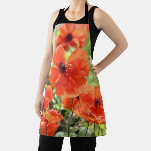 papaver schort (Insitu)