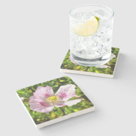 Papaver Somniferum Pink Poppy Art Stenen Onderzetter