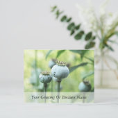 Papaver Somniferum Seed Head Briefkaart (Staand voorkant)