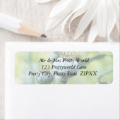 Papaver Somniferum Seed Heads Etiket (Insitu)