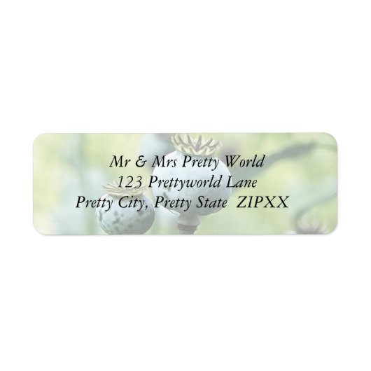 Papaver Somniferum Seed Heads Etiket (Voorkant)