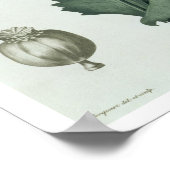 Papaver Somniferum uit 'Phytographie Medicale' doo Poster (Hoek)