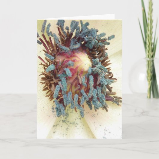 Papaver Stamens Kaart (Voorkant)