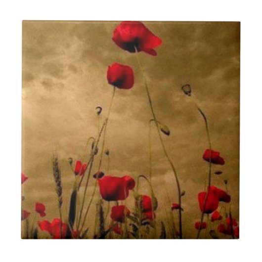 papaver tegeltje (Voorkant)