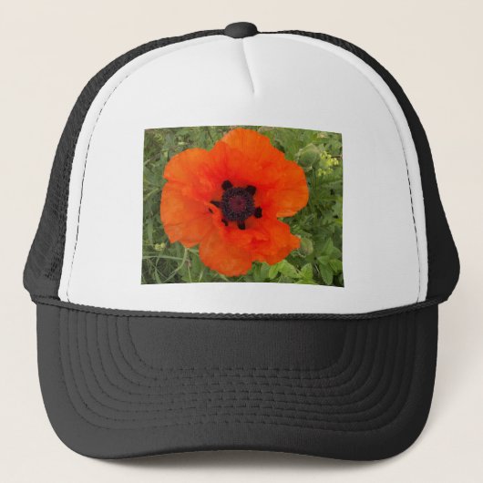 papaver trucker pet (Voorkant)
