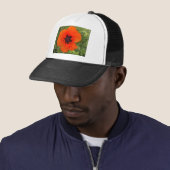papaver trucker pet (In situ)