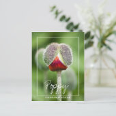 papaver van de familie Papaveraceae Briefkaart (Staand voorkant)