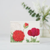 Papaver van Tanigami Konan Briefkaart (Staand voorkant)
