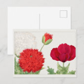 Papaver van Tanigami Konan Briefkaart (Voorkant / Achterkant)