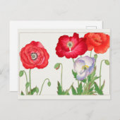 Papaver van Tanigami Konan Briefkaart (Voorkant / Achterkant)