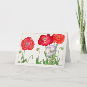 Papaver van Tanigami Konan Kaart