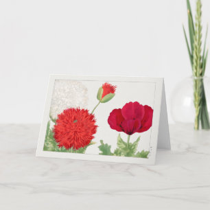 Papaver van Tanigami Konan Kaart