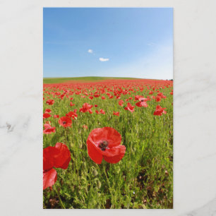 Papaver veld - Verbluffend! Briefpapier