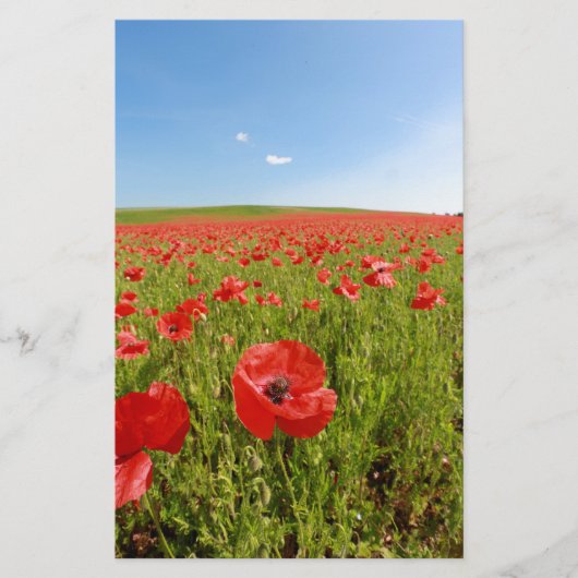 Papaver veld - Verbluffend! Briefpapier (Voorkant)