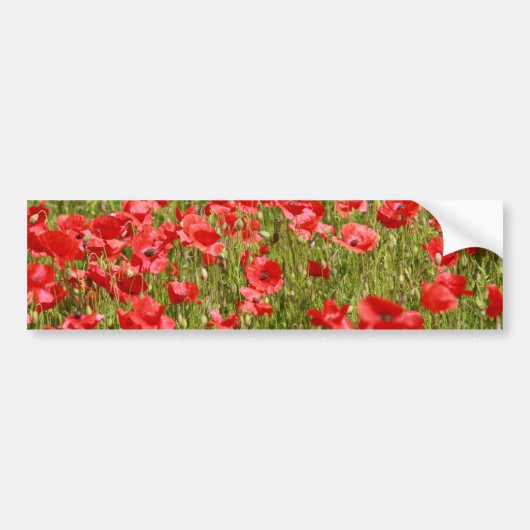 Papaver veld - Verbluffend! Bumpersticker (Voorkant)